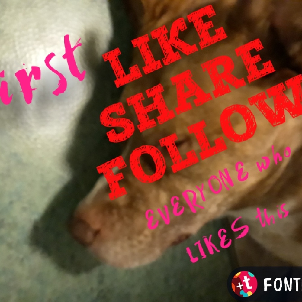 😱🙏THANKS EVERYONE FOR FOLLOWING ME🐶🦁🐻🐨🐼 - Picture 7 of 11